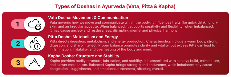 Types Of Doshas Ayurveda
